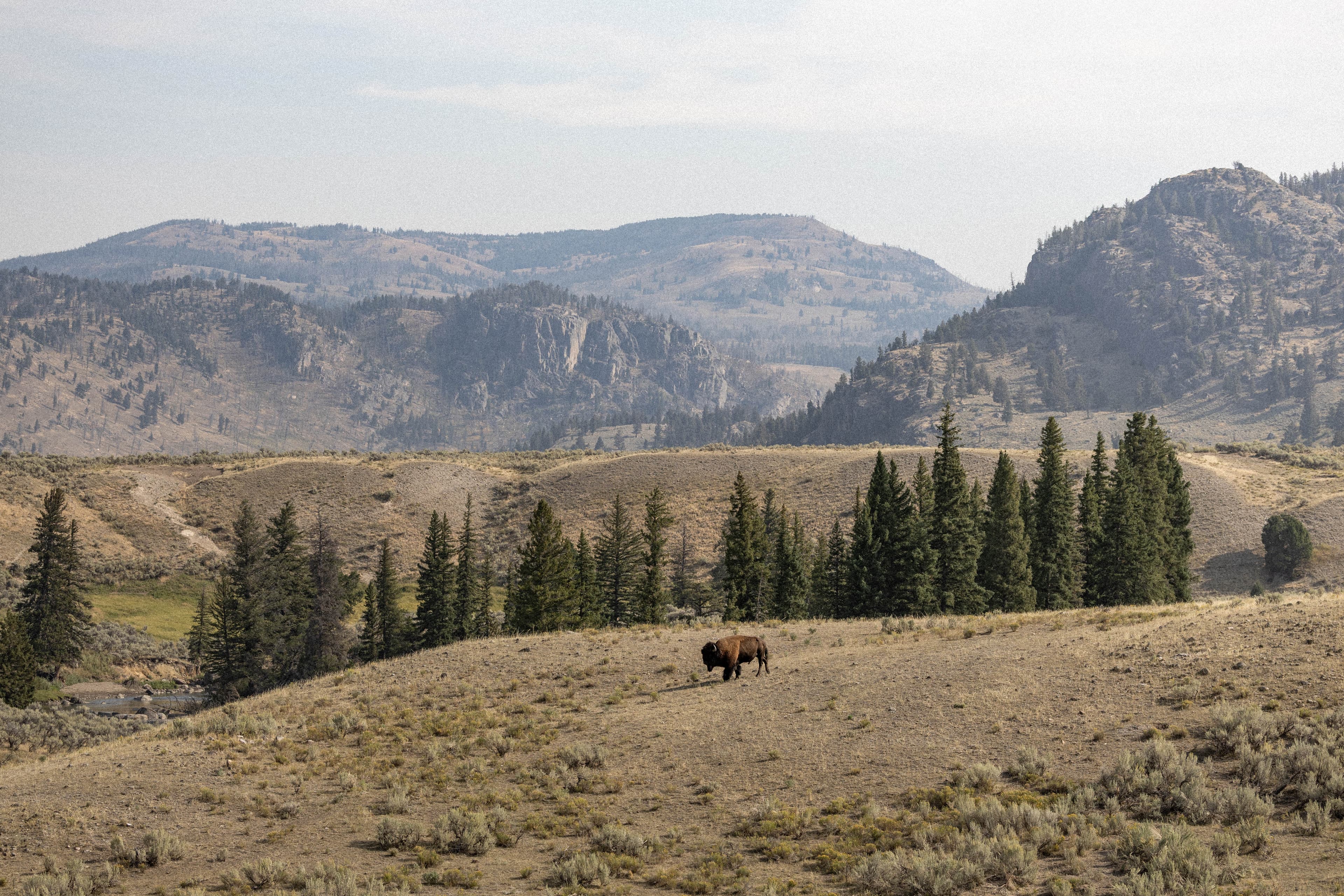 Northern Peaks
