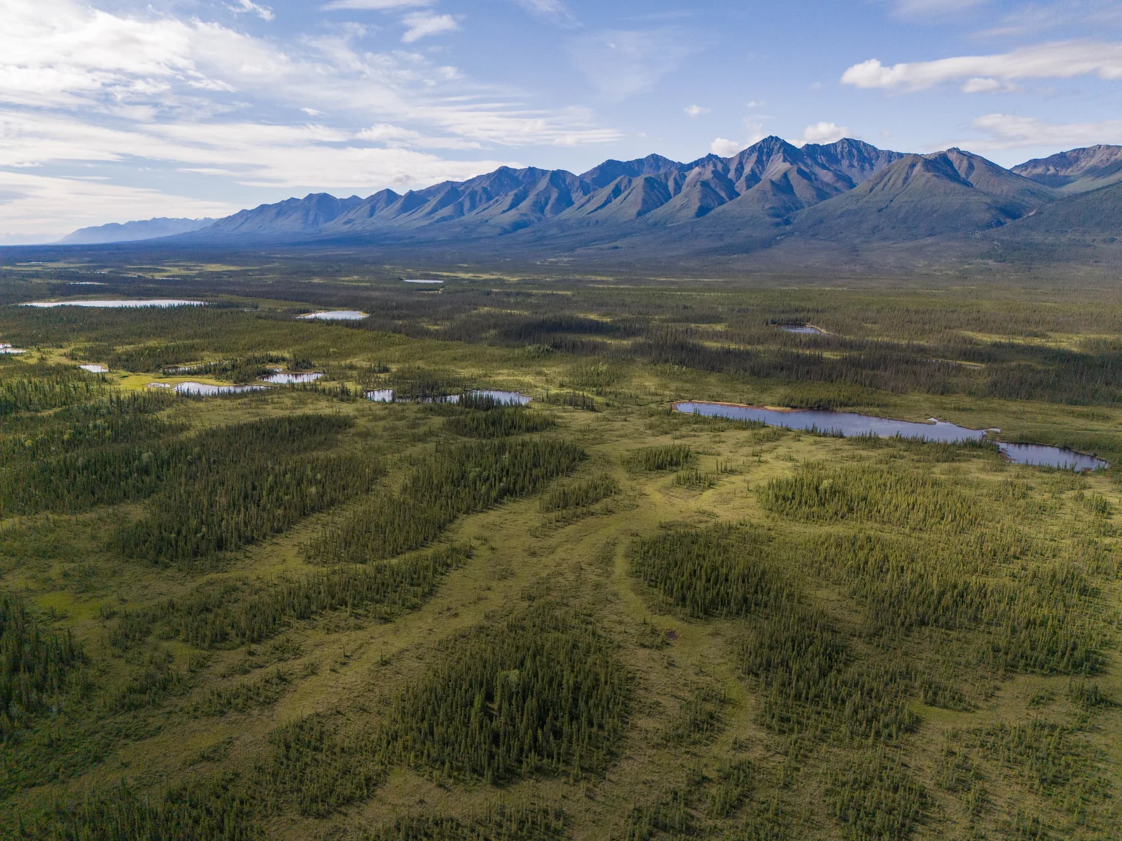 DJI_20240715113103_0081_D