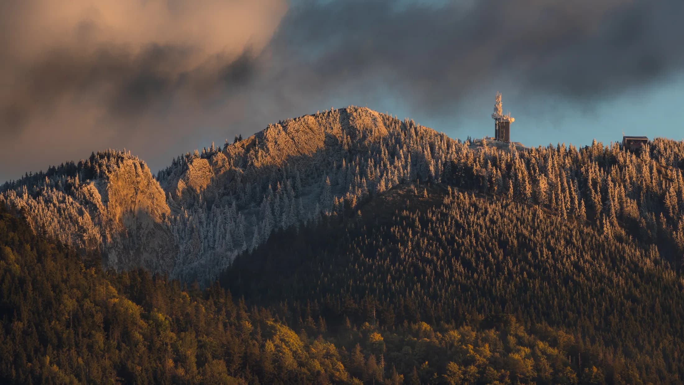 _MG_6249